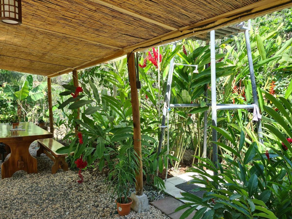 Trebolmar Apartments For Remote Work Playa Santa Teresa  Kültér fotó